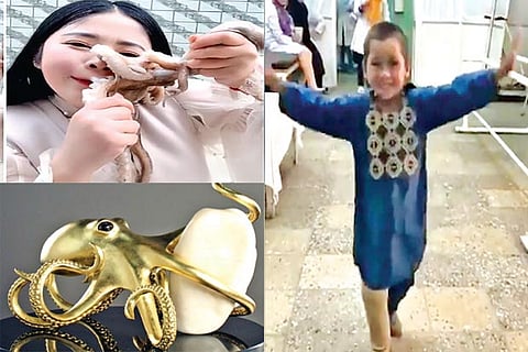 Trending in TN: Blogger tries to eat octopus alive, Canadian finds 27kg Giga pearl in family heirloom and social media amuses the dance of Afghan boy with prosthetic leg