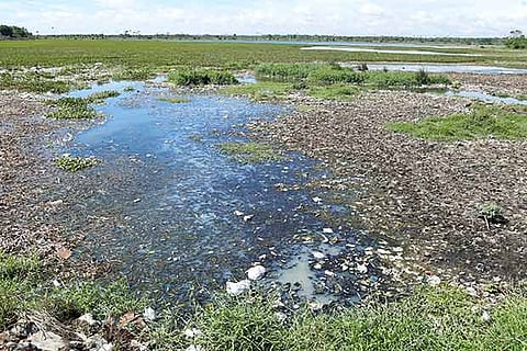 Drainage flows into the Singanallur lake in Coimbatore (File photo)