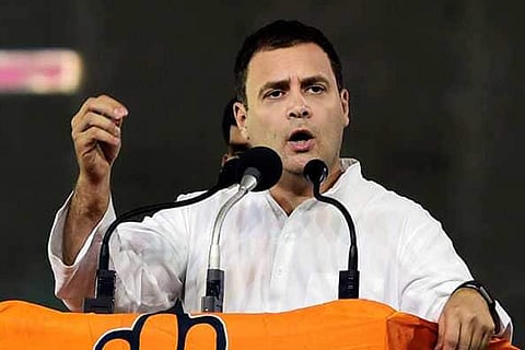 Rahul elected from Wayanad LS seat