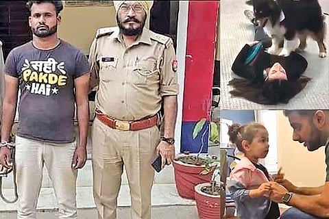 Trending in TN: Mohammad Kaif’s Instagram post, Dad questions girl for stealing friend’s jacket, Video of dog 'performing CPR'