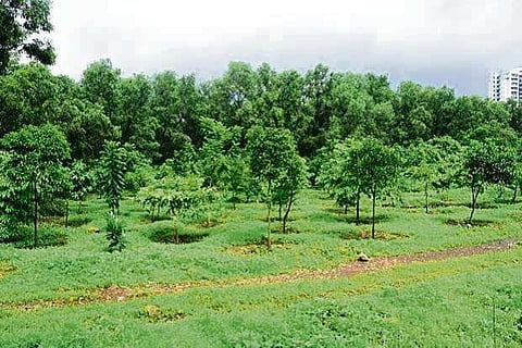 Representative Image