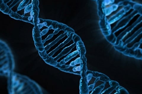 YKT6 gene variants may cause novel genetic disorder: Study