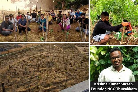 Chennaiites create urban forests using Miyawaki method