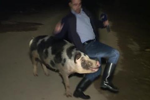 Greek journo chased by pig while reporting