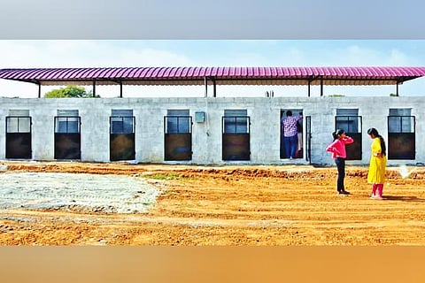 The dog shelter inaugurated in memory of Anu in Tiruvallur
