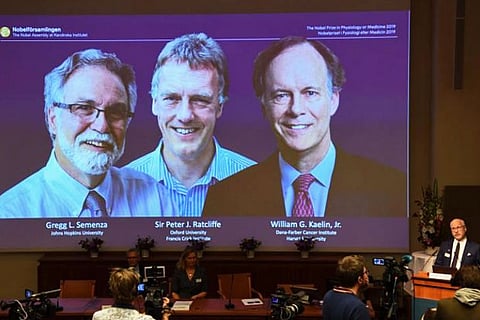 Cell Research trio wins 2019 Nobel Medicine Prize