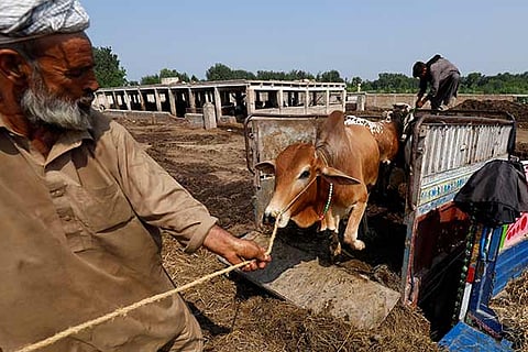Keep dairy business out of free trade: Union Minister Giriraj Singh