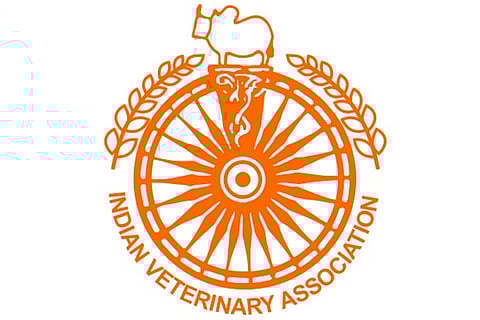 Plea to regularise 800 veterinary surgeons