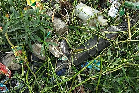 Screening mesh placed at one of the spots