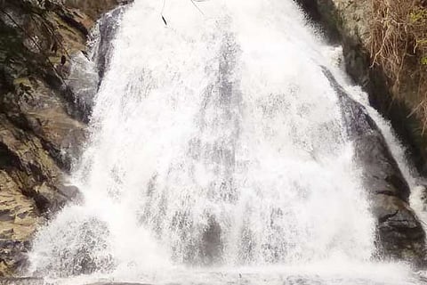 The flooded Monkey Falls near Pollachi