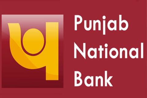 Punjab National Bank puts up 11 NPAs for sale to recover dues Rs 1,234 cr