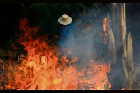 Brazil fires official after comments on illegal Amazon mining fight