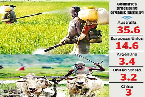 Back to basics with organic farming