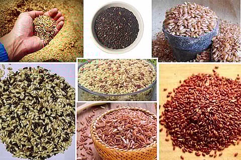 The little-known indigenous rice variants from TN