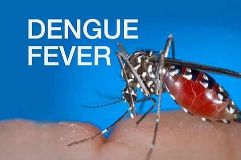 Fever cases rise in Chennai