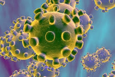 11 CISF jawans at Mumbai airport test Covid-19 positive