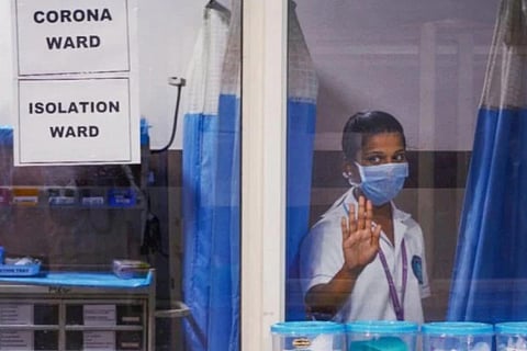 5 cats caught from COVID-19 ward in Kerala die, organs to be examined