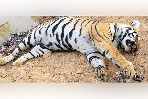 File Photo (Twitter)