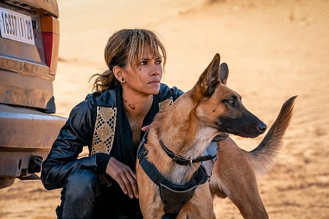 Halle Berry did 'John Wick 3' to kick ageism in the face