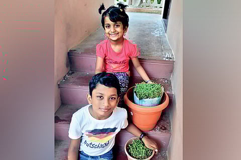 Purvaja Durga and Charan Sai Y with their vendhaya keerai pots