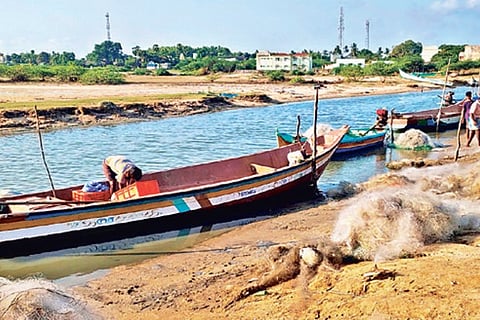 The boats that were stopped at jetty in Pulicat lake