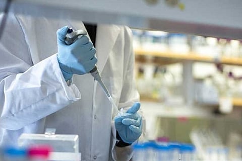 TALL ORDER AHEAD: Kiwis could pull off ‘eliminating’ the virus