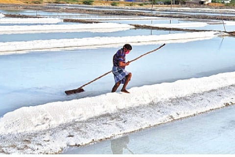 A worker in action at a salt pan in Thoothukudi on Wednesday