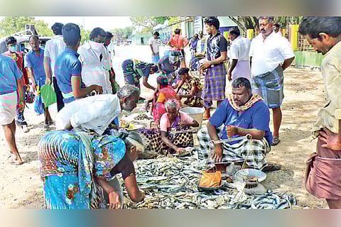 Seafood being sold at a temporary market in Thoothukudi