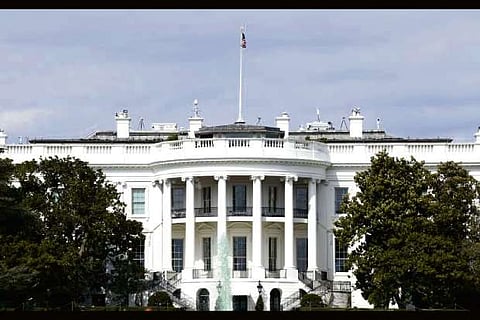 White House official warns of negative shocks before rebound later in 2020