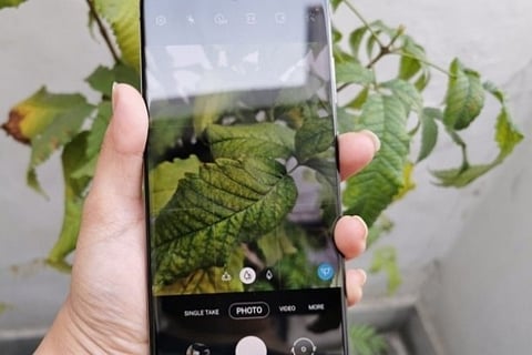 Samsung may use BOE's OLED screens for future Galaxy models