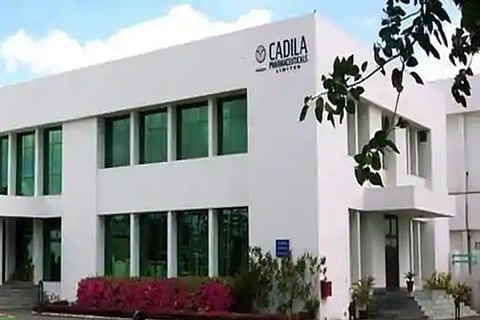 Cadila Healthcare to sell 49 pc stake in WHPL to Windlas Biotech for Rs 99.44 cr