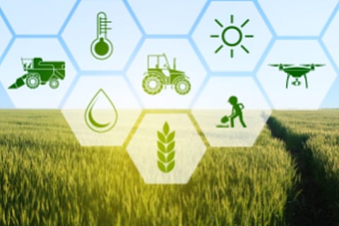 Agri-startups can offer tech solutions to keep food supply chain rolling amid COVID-19 crisis: Study