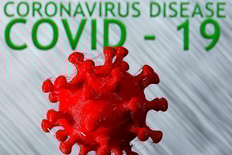 Common cold infection may train the body to recognise novel coronavirus: Study