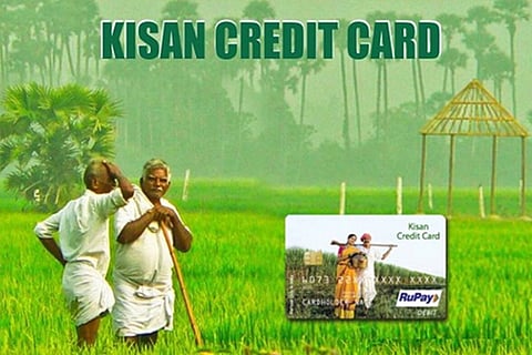 TN vet graduates pick holes in Kisan Credit Card scheme execution