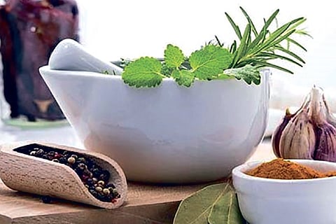 GLOBAL TAMILIAN: Alternative systems of medicine in limelight thanks to pandemic