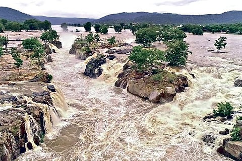 Heavy flow witnessed in Hogenakkal on Saturday