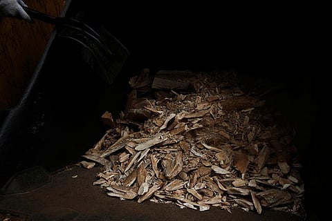 Singapore crushes ivory from around 300 elephants to deter illegal trade