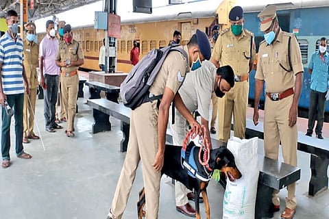 A sniffer dog pressed into service at Coimbatore railway station premises on Thursday