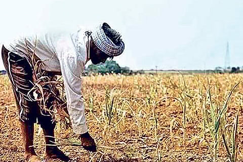 PMKSNY Scam in 13 districts: Agri Secy orders probe after non-farmers avail benefits