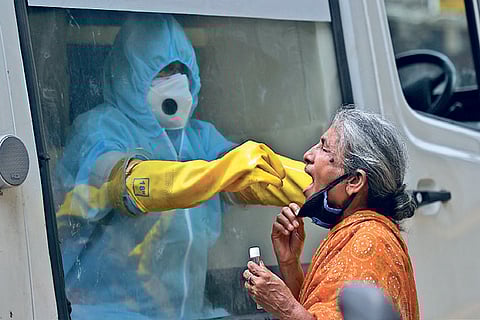 A worker collects swab sample in Anna Nagar