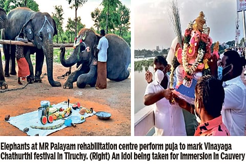 Muted Vinayaga Chathurthi across state as govt orders festival only indoors