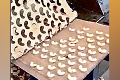 DeTect: Debunked: Myth of fake cashews made to fool buyers