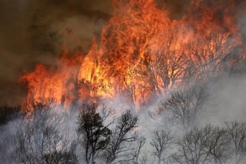 7,012 fires burn 1.5 mn acres of land in California