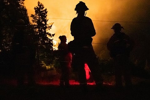 Most condors survive California wildfire that destroyed sanctuary