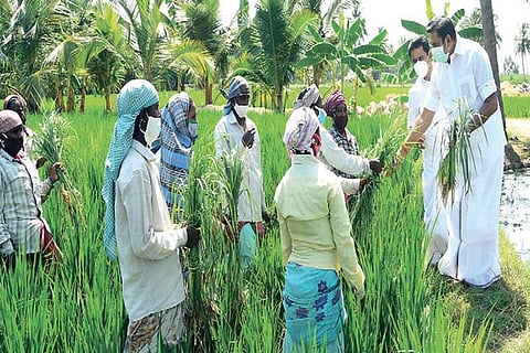 Chief Minister interacting with farmers after distributing face masks to them in Tiruvarur on Friday