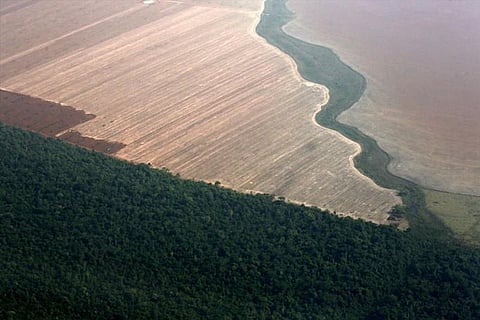 Brazil, reversing course, says will keep fighting Amazon deforestation