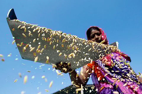 China imports Indian rice after 2 years amid border tension