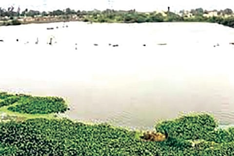 File Photo of Villivakkam lake.