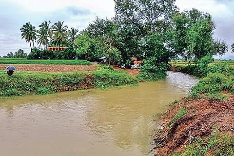 Water flowing through desilted canal which filled up Kariamangalam tank in Tiruvannamalai district