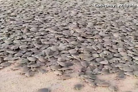 Image Courtesy : Reuters